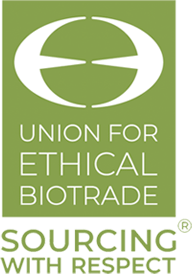 logo2